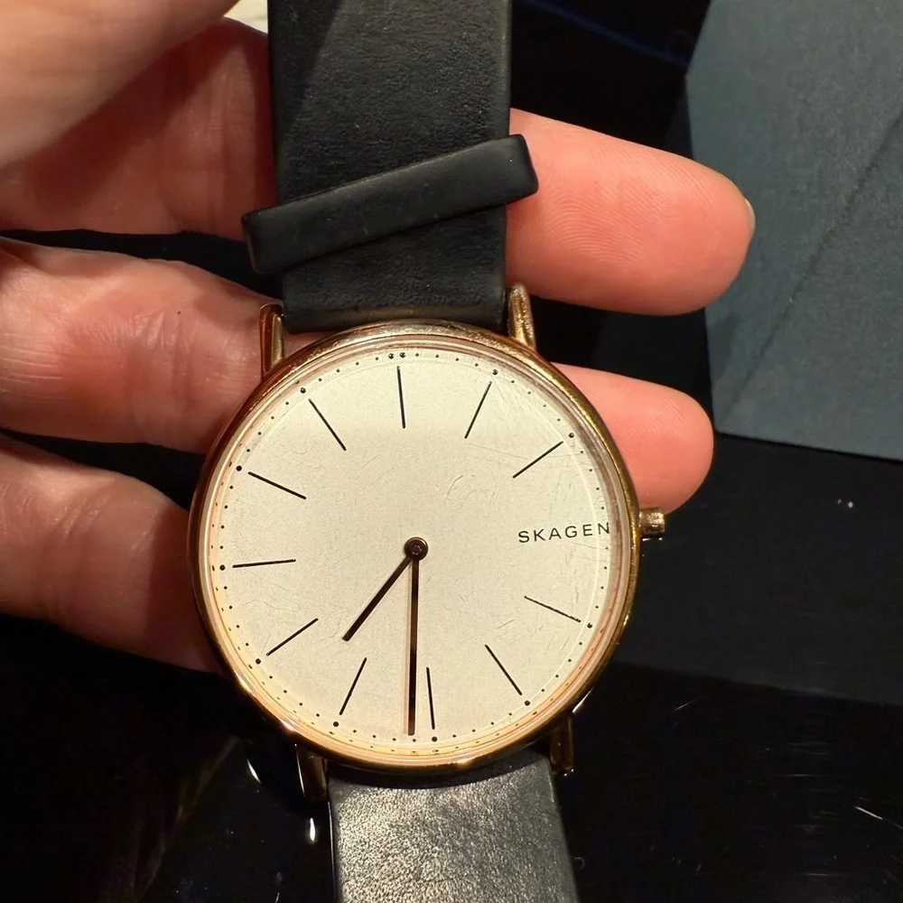 Skagen Signatur SKW6430, Black and Gold with White Face